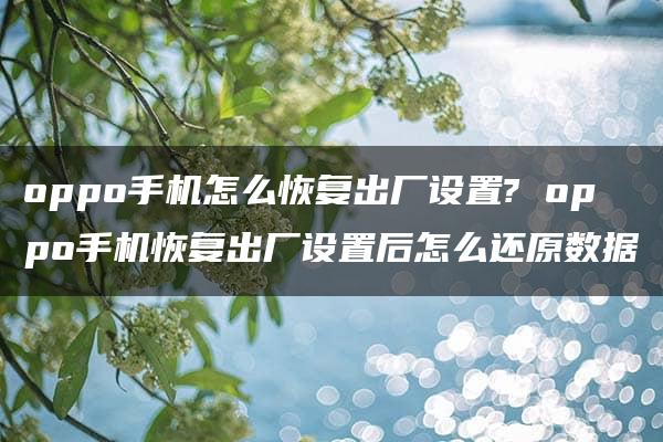 oppo手机怎么恢复出厂设置? oppo手机恢复出厂设置后怎么还原数据