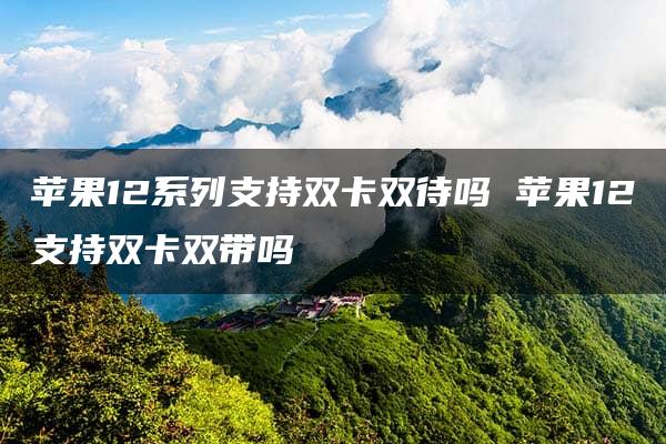 苹果12系列支持双卡双待吗 苹果12支持双卡双带吗