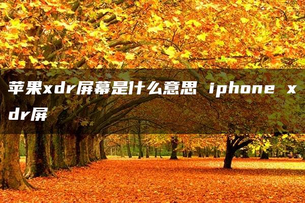 苹果xdr屏幕是什么意思 iphone xdr屏