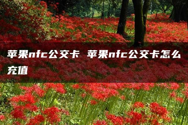 苹果nfc公交卡 苹果nfc公交卡怎么充值