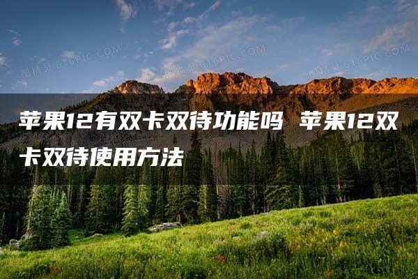 苹果12有双卡双待功能吗 苹果12双卡双待使用方法