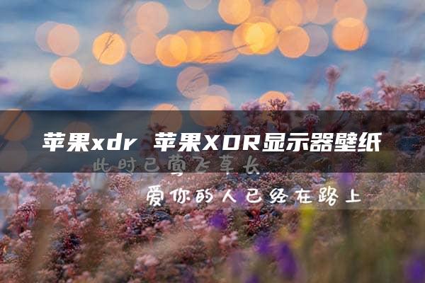 苹果xdr 苹果XDR显示器壁纸