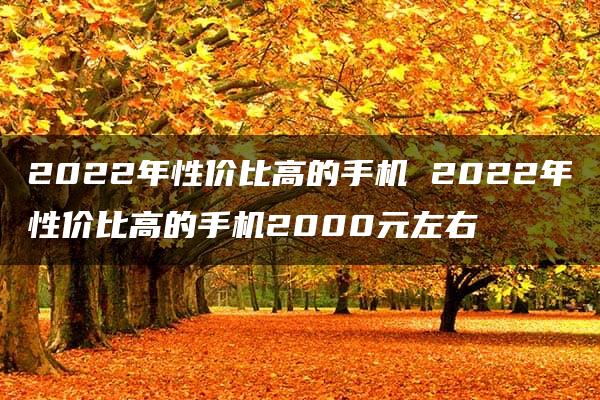 2022年性价比高的手机 2022年性价比高的手机2000元左右