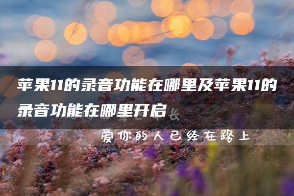 苹果11的录音功能在哪里及苹果11的录音功能在哪里开启