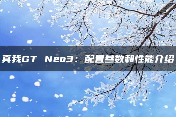 真我GT Neo3：配置参数和性能介绍