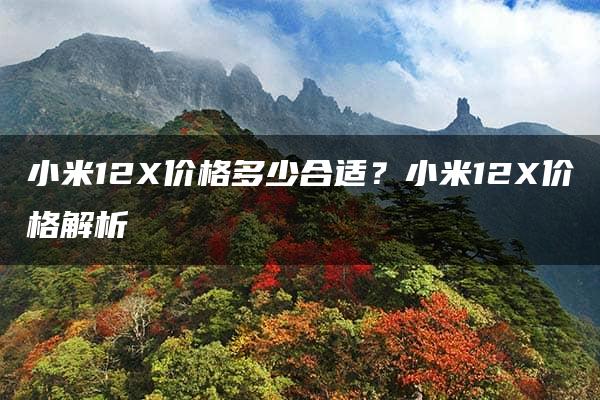 小米12X价格多少合适？小米12X价格解析