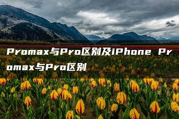 Promax与Pro区别及iPhone Promax与Pro区别