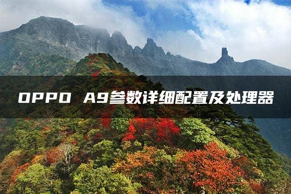 OPPO A9参数详细配置及处理器