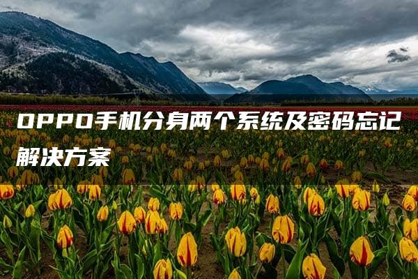 OPPO手机分身两个系统及密码忘记解决方案