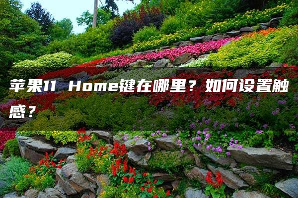 苹果11 Home键在哪里？如何设置触感？