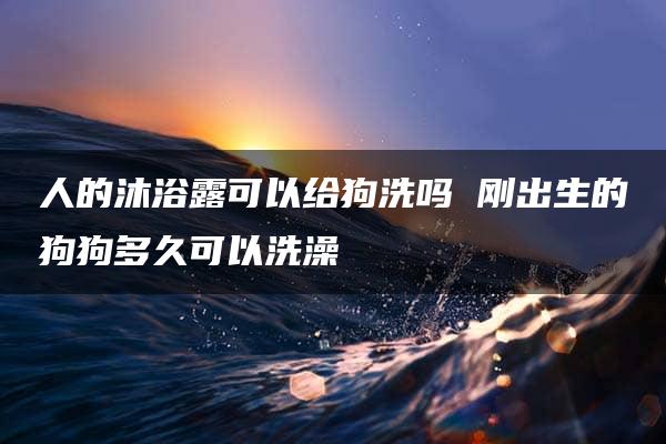 人的沐浴露可以给狗洗吗 刚出生的狗狗多久可以洗澡