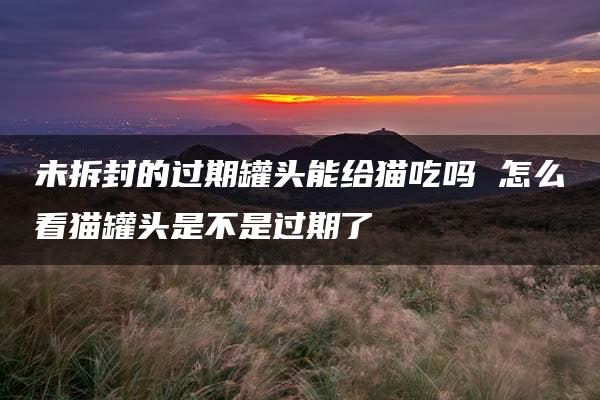 未拆封的过期罐头能给猫吃吗 怎么看猫罐头是不是过期了