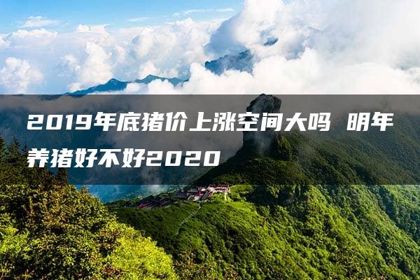 2019年底猪价上涨空间大吗 明年养猪好不好2020