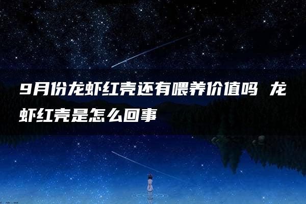 9月份龙虾红壳还有喂养价值吗 龙虾红壳是怎么回事