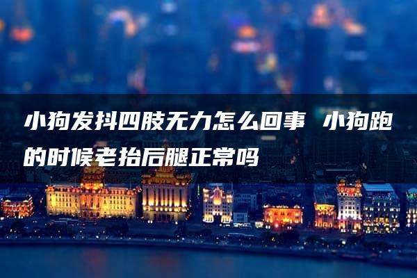 小狗发抖四肢无力怎么回事 小狗跑的时候老抬后腿正常吗