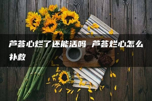 芦荟心烂了还能活吗 芦荟烂心怎么补救