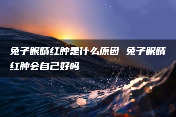 兔子眼睛红肿是什么原因 兔子眼睛红肿会自己好吗