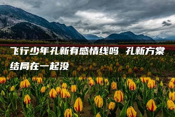 飞行少年孔新有感情线吗 孔新方棠结局在一起没