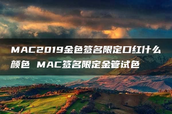 MAC2019金色签名限定口红什么颜色 MAC签名限定金管试色