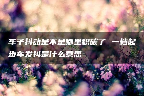 车子抖动是不是哪里积碳了 一档起步车发抖是什么意思