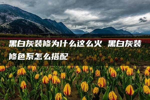 黑白灰装修为什么这么火 黑白灰装修色系怎么搭配