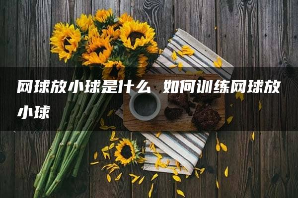 网球放小球是什么 如何训练网球放小球