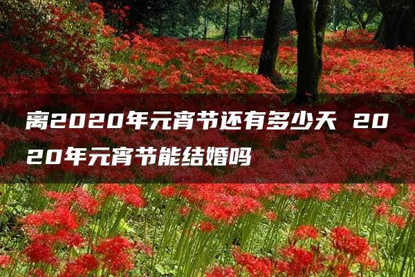 离2020年元宵节还有多少天 2020年元宵节能结婚吗