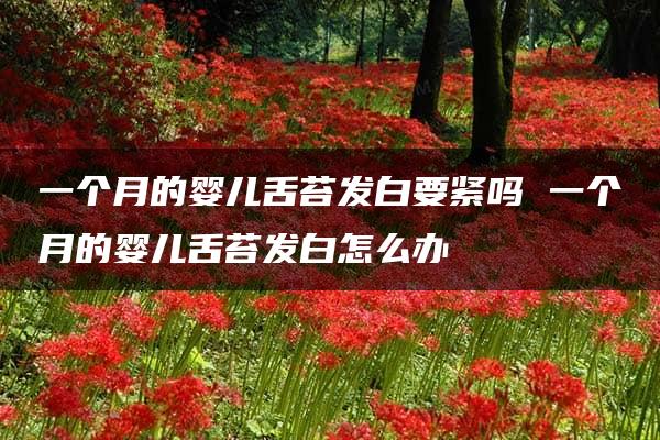 一个月的婴儿舌苔发白要紧吗 一个月的婴儿舌苔发白怎么办