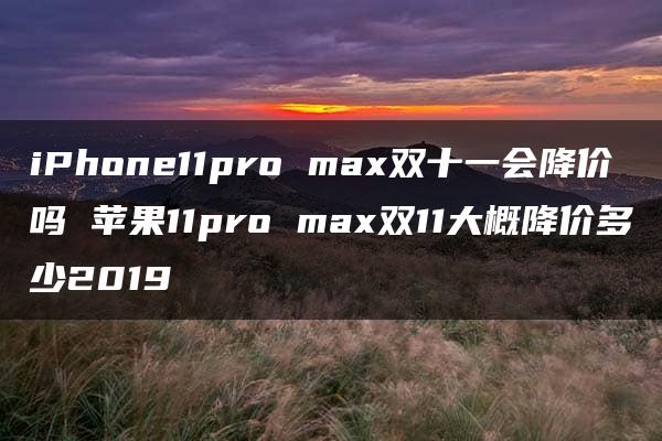 iPhone11pro max双十一会降价吗 苹果11pro max双11大概降价多少2019