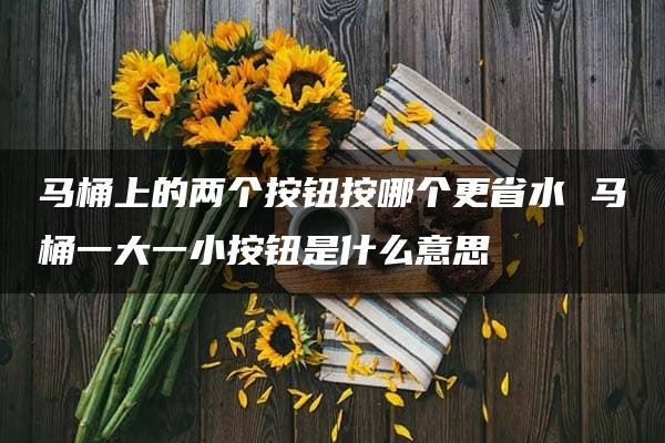 马桶上的两个按钮按哪个更省水 马桶一大一小按钮是什么意思