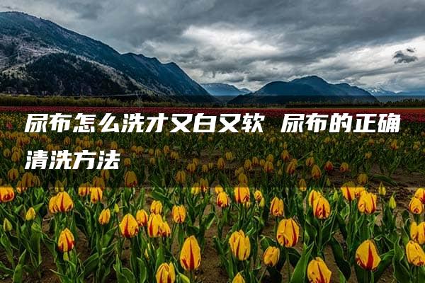 尿布怎么洗才又白又软 尿布的正确清洗方法