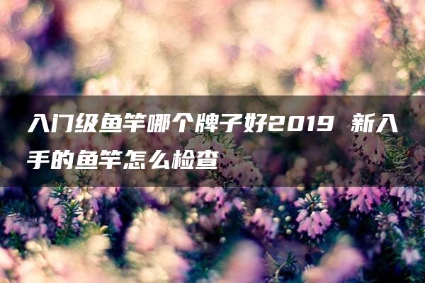 入门级鱼竿哪个牌子好2019 新入手的鱼竿怎么检查