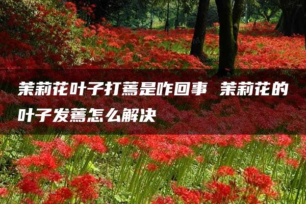 茉莉花叶子打蔫是咋回事 茉莉花的叶子发蔫怎么解决