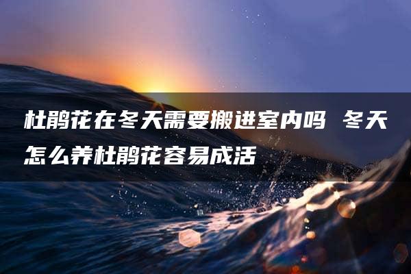 杜鹃花在冬天需要搬进室内吗 冬天怎么养杜鹃花容易成活