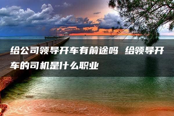 给公司领导开车有前途吗 给领导开车的司机是什么职业