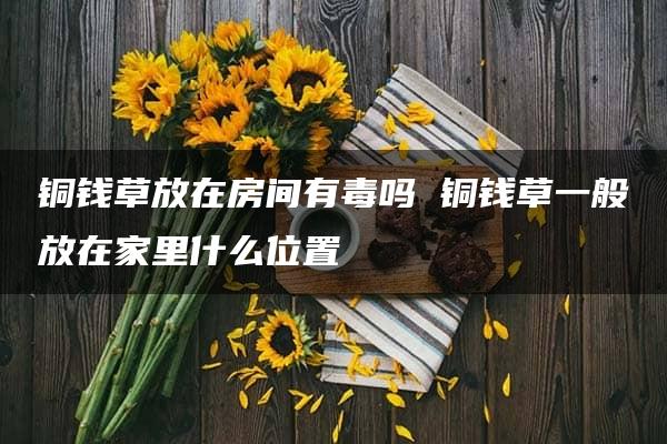 铜钱草放在房间有毒吗 铜钱草一般放在家里什么位置