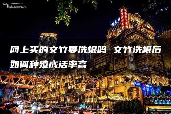 网上买的文竹要洗根吗 文竹洗根后如何种殖成活率高