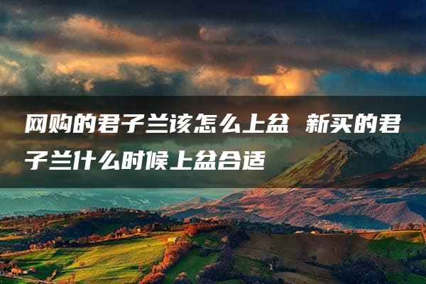 网购的君子兰该怎么上盆 新买的君子兰什么时候上盆合适