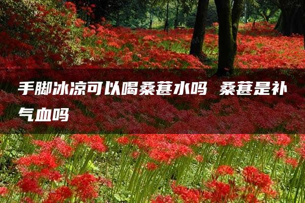 手脚冰凉可以喝桑葚水吗 桑葚是补气血吗