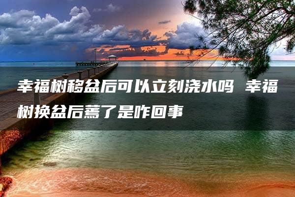 幸福树移盆后可以立刻浇水吗 幸福树换盆后蔫了是咋回事