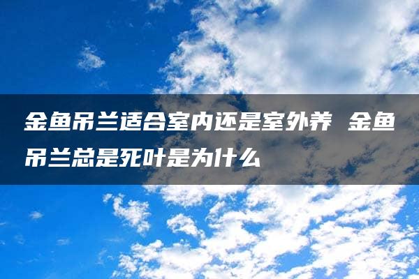 金鱼吊兰适合室内还是室外养 金鱼吊兰总是死叶是为什么