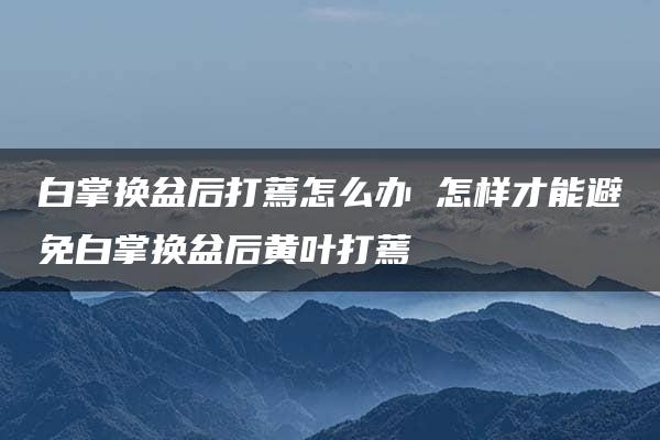 白掌换盆后打蔫怎么办 怎样才能避免白掌换盆后黄叶打蔫