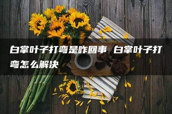 白掌叶子打弯是咋回事 白掌叶子打弯怎么解决