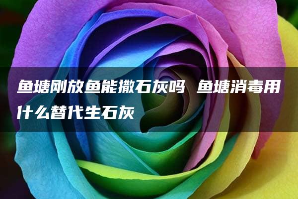 鱼塘刚放鱼能撒石灰吗 鱼塘消毒用什么替代生石灰