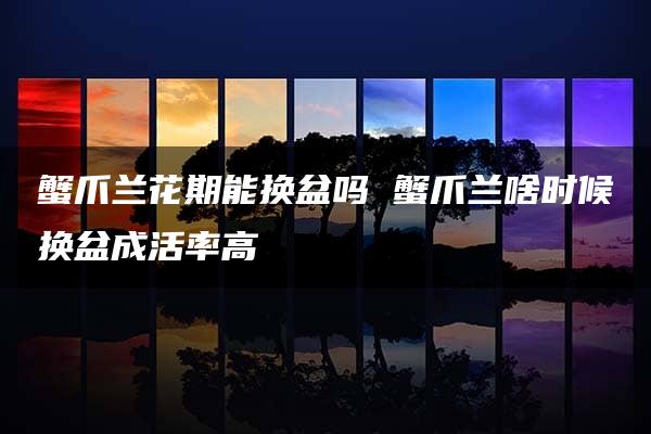 蟹爪兰花期能换盆吗 蟹爪兰啥时候换盆成活率高