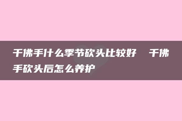 千佛手什么季节砍头比较好​ 千佛手砍头后怎么养护