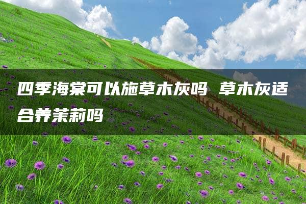 四季海棠可以施草木灰吗 草木灰适合养茉莉吗