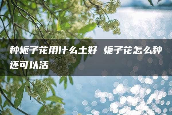 种栀子花用什么土好 栀子花怎么种还可以活