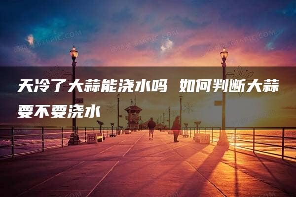 天冷了大蒜能浇水吗 如何判断大蒜要不要浇水