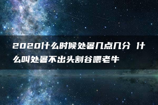 2020什么时候处暑几点几分 什么叫处暑不出头割谷喂老牛